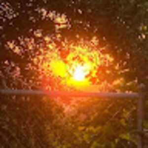 Meet your Posher, Antoinette